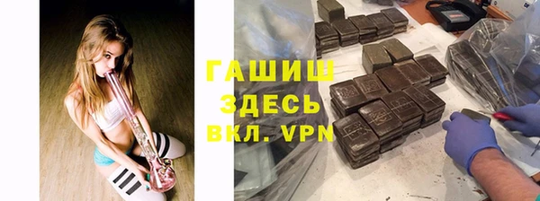 хмурый Алзамай