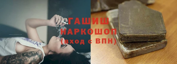 хмурый Алзамай