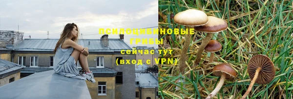 прущий лед Алексин