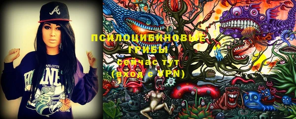 прущий лед Алексин